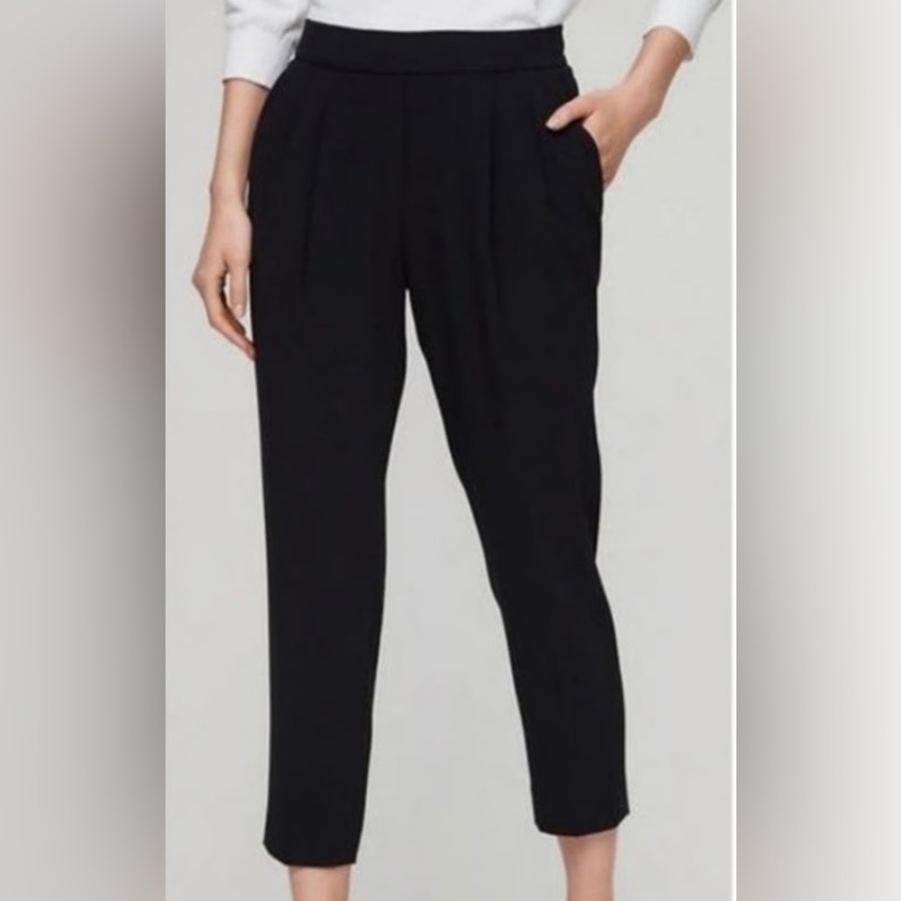 Aritzia Babaton Crepe Ankle Pants